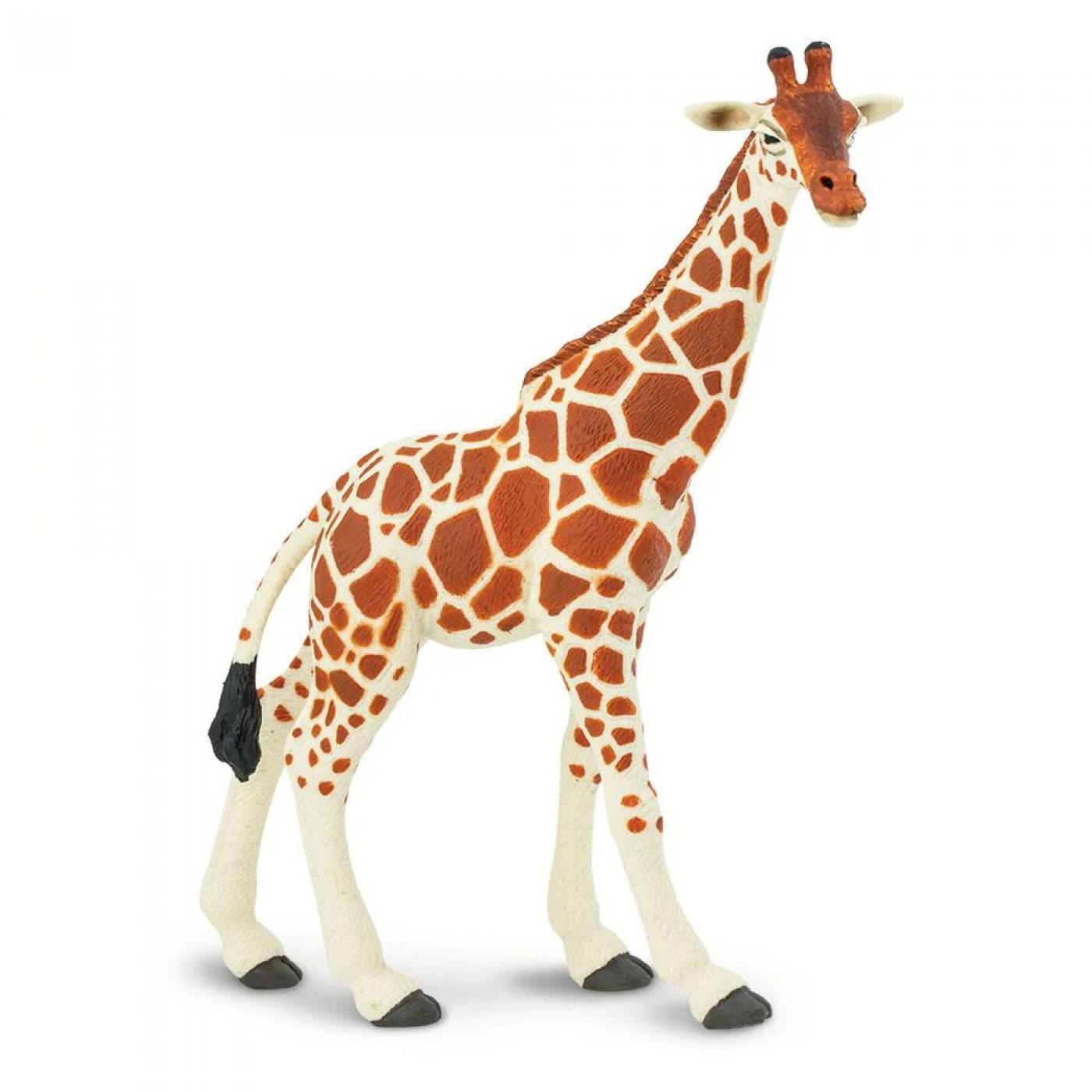 Safari Ltd Netzgiraffe 2684 ca.15x6x17.5cm