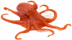 Safari Ltd  2744 Oktopus - Tierfiguren - Figuren bei spielzeug-guenstig.de