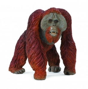 Safari Ltd  1122 Orang-Utan - Tierfiguren - Figuren bei spielzeug-guenstig.de