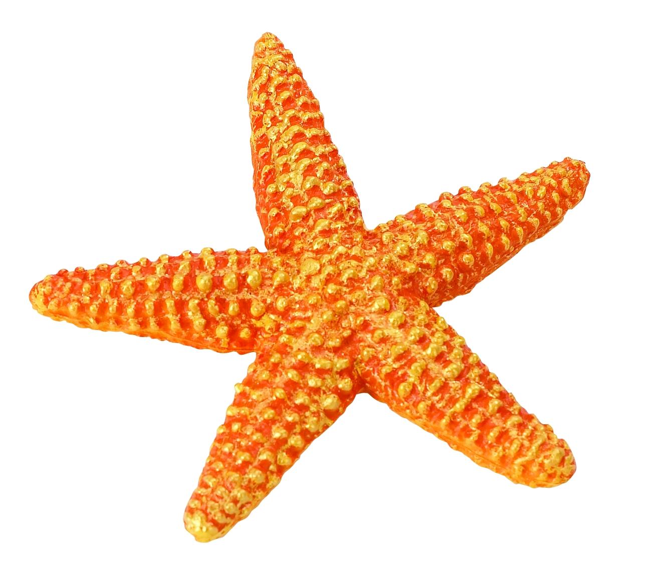 Safari Ltd Orangener Seestern 2768 ca.10.5x10.5x1.5cm