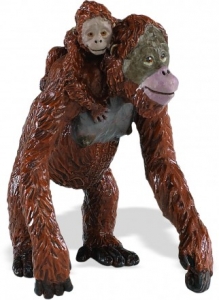 Safari Ltd  2935 Orang-Utanweibchen with baby spielzeug-guenstig.de