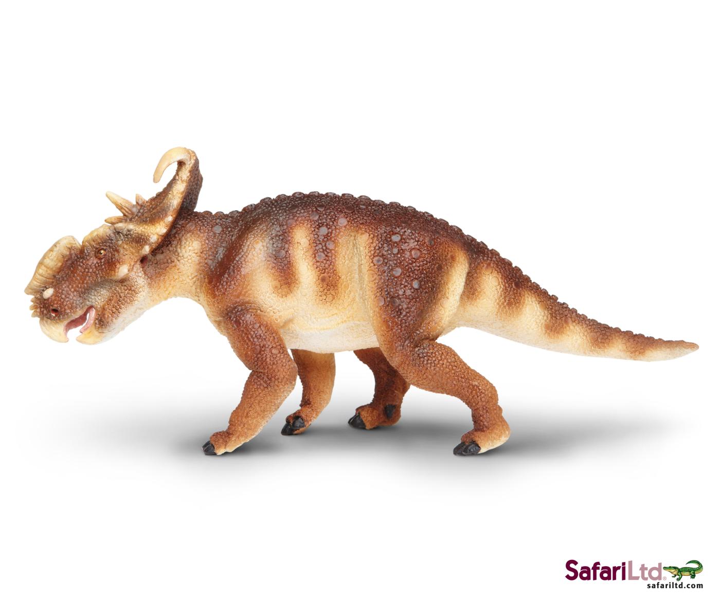 pachyrhinosaurus toy