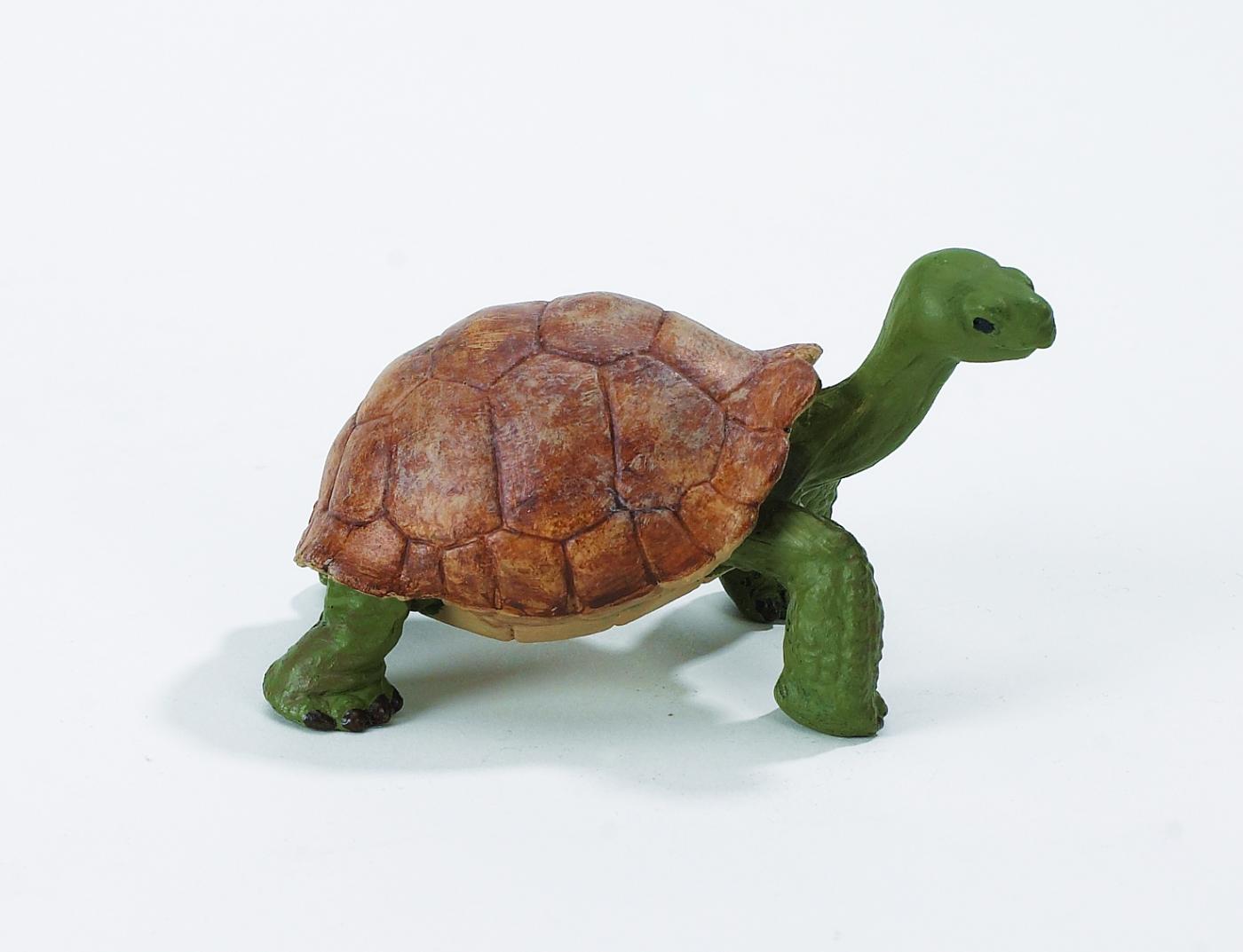 Safari Ltd Riesenschildkr�te 2725 ca.8x5.5x5cm