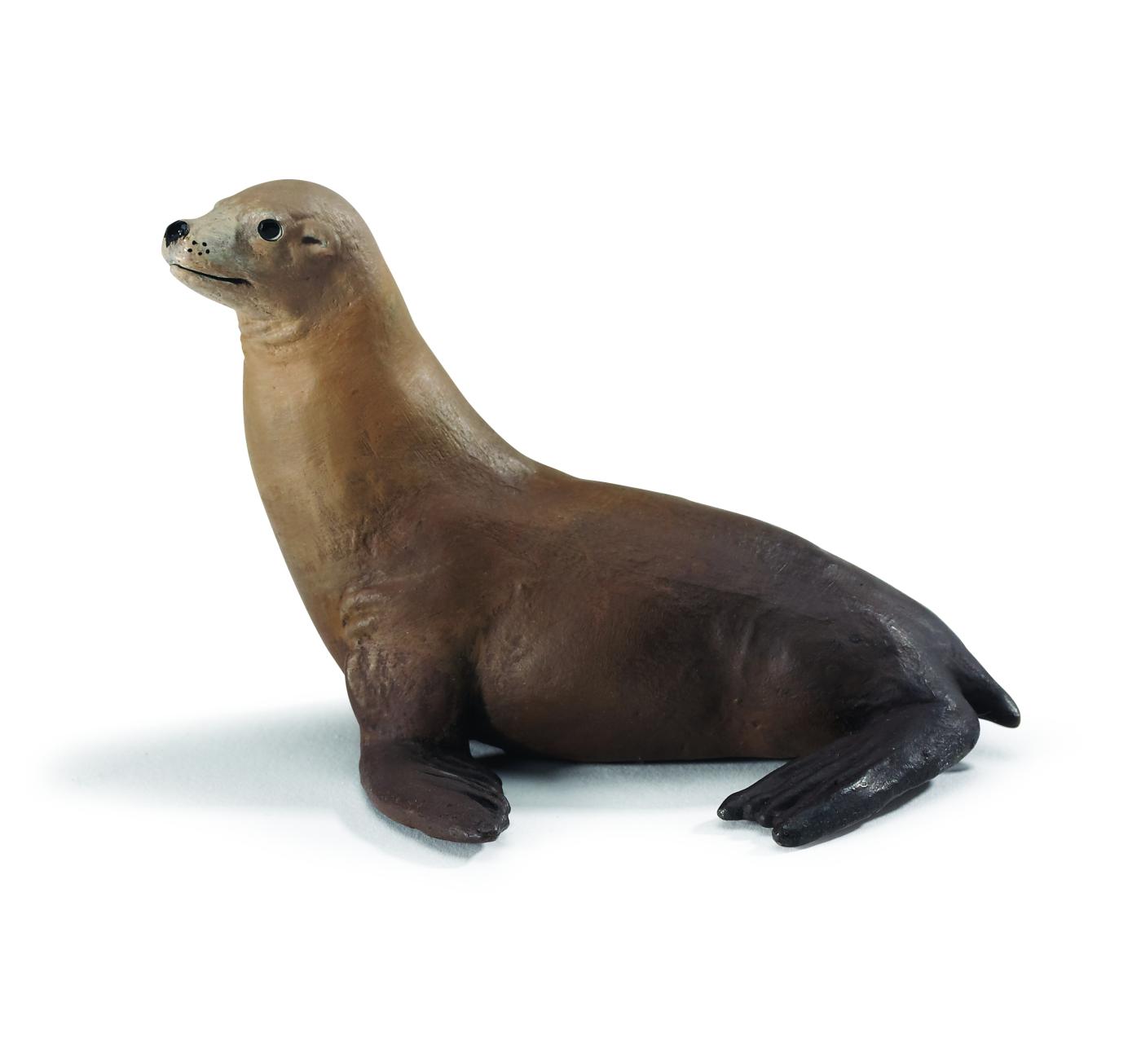 safari ltd sea lion