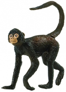 Safari Ltd  2916 spider Monkey - animal figures at spielzeug-guenstig.de