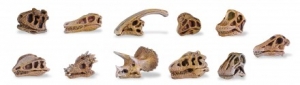 Safari Ltd  6874 Toob Dinosaurier Sch�del Minifiguren bei spielzeug-guenstig.de