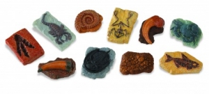 Safari Ltd  6848 Toob Fossilien - Minifiguren bei spielzeug-guenstig.de