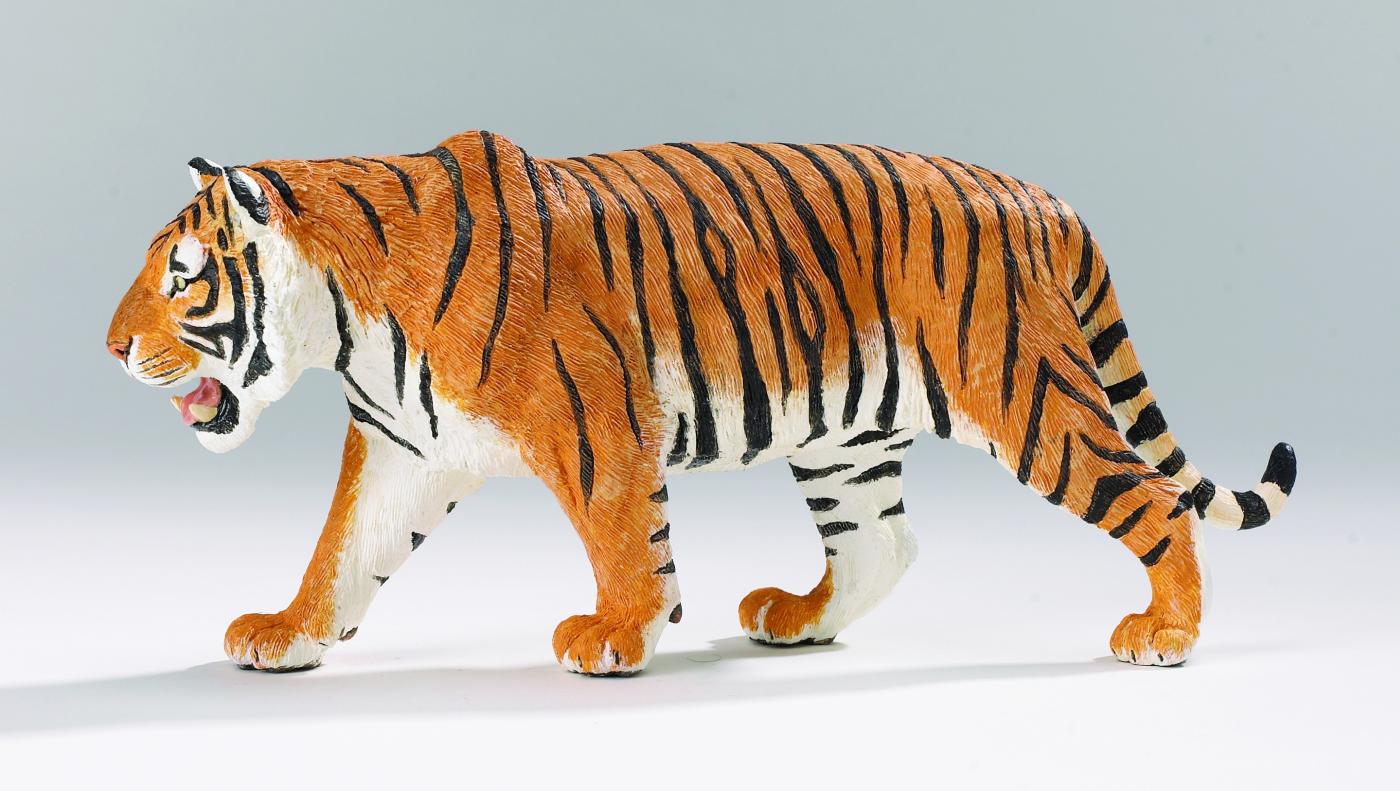 Saffari Tiger