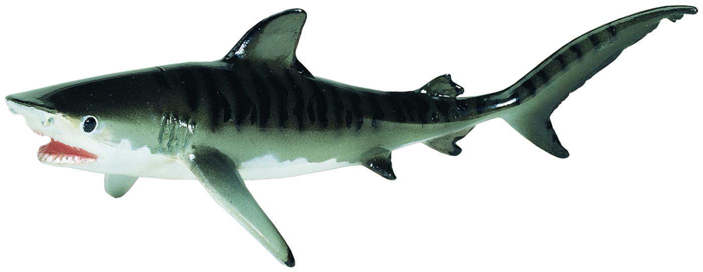 safari ltd tiger shark