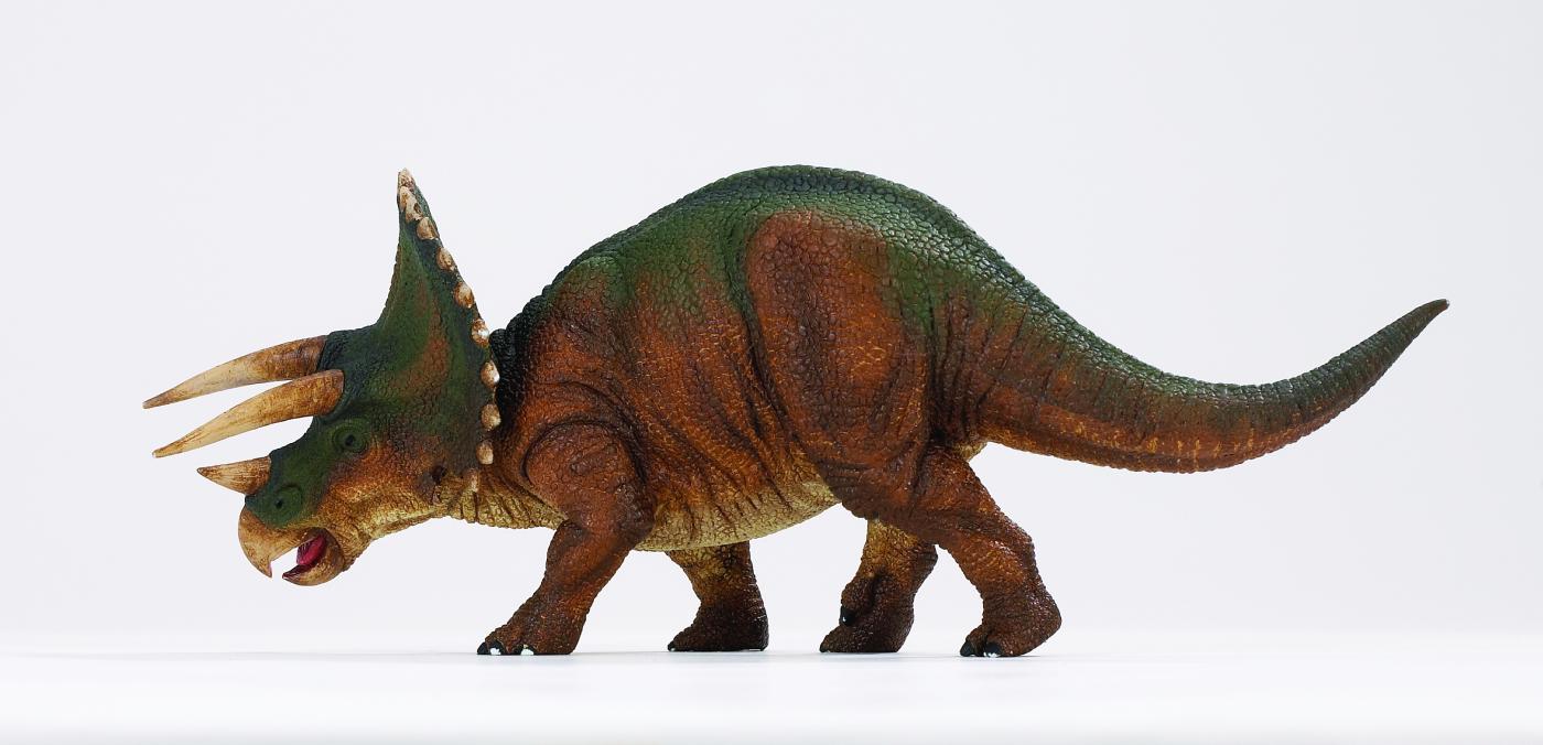 safari ltd triceratops