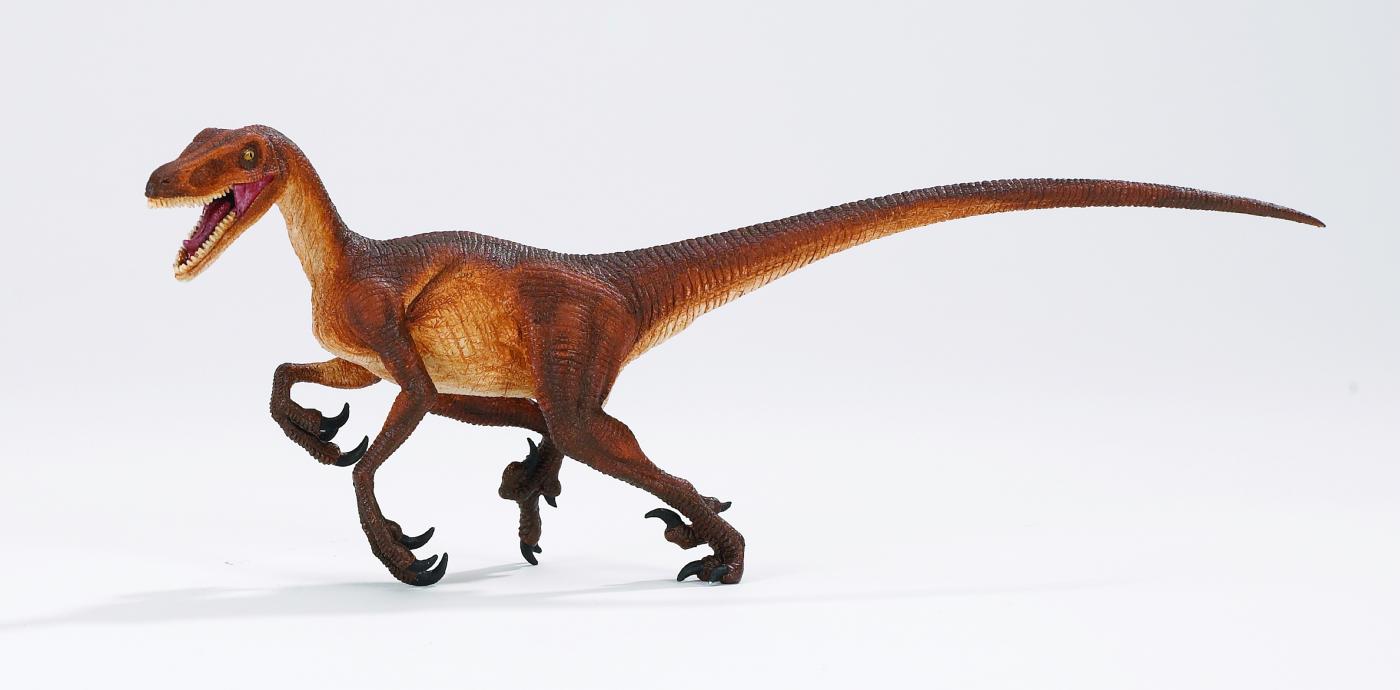 Safari Ltd Velociraptor 2999 ca.21.5x6x8.1cm