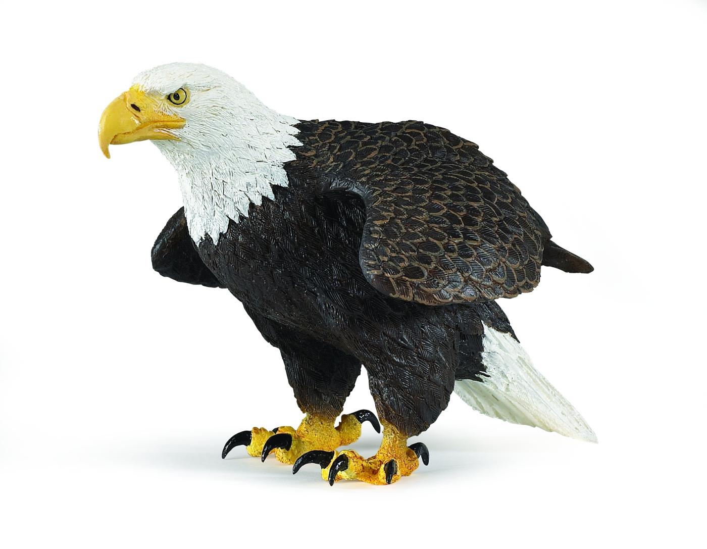 Safari Ltd Wei�kopfseeadler 2510 ca.17.4x10.5x11.5cm