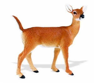 Safari Ltd  1802 Weissschwanzkitz - Tierfiguren bei spielzeug-guenstig.de