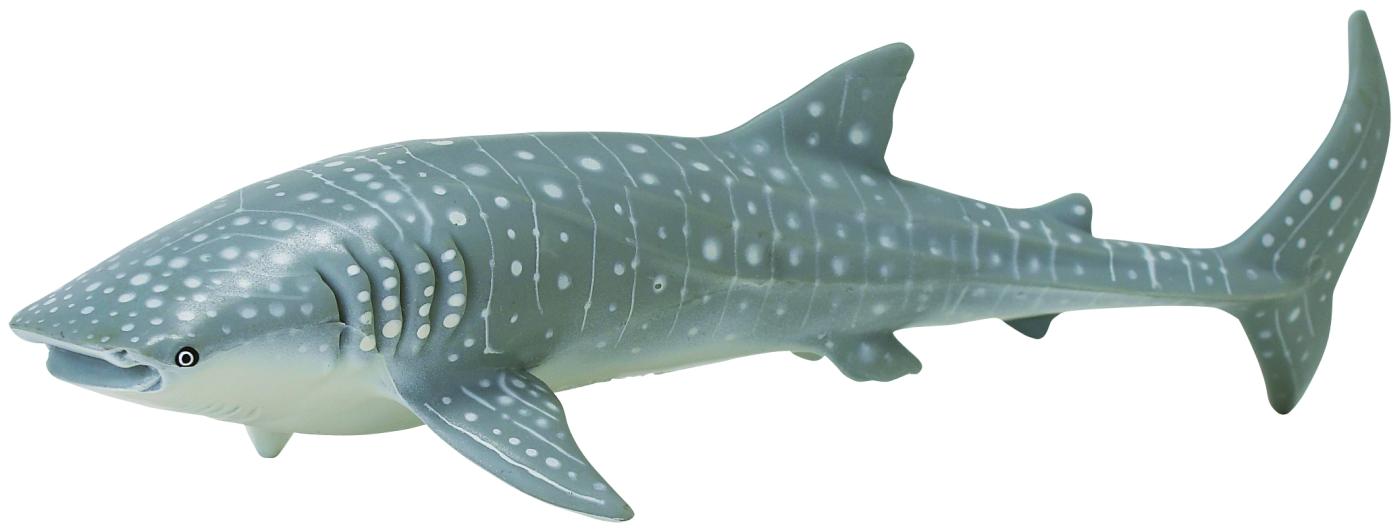whale shark figure
