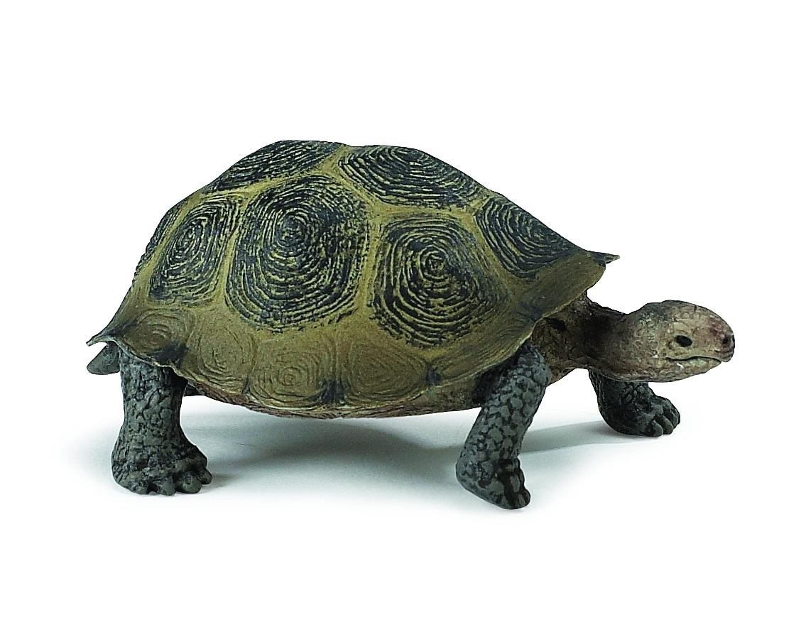 Safari Ltd W�stenschildkr�te 2953 ca.8.8x5.1x4cm