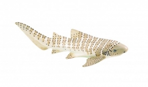 Safari Ltd  2233 Zebrahai - Tierfiguren - Figuren bei spielzeug-guenstig.de