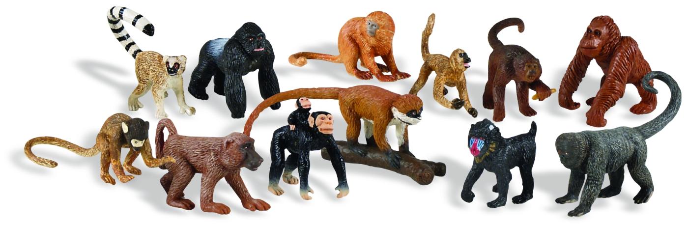 Safari Ltd subject of primates monkeys 6806 approx.5.2x5.2x33cm