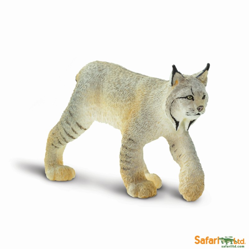 Safari Lynx 181829