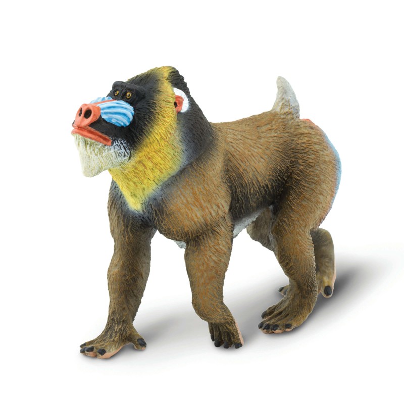 Safari Mandrill 100273
