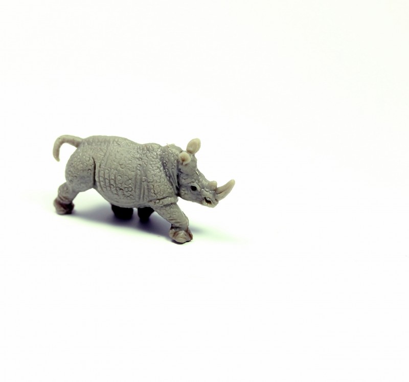 Safari Nashorn 3431e