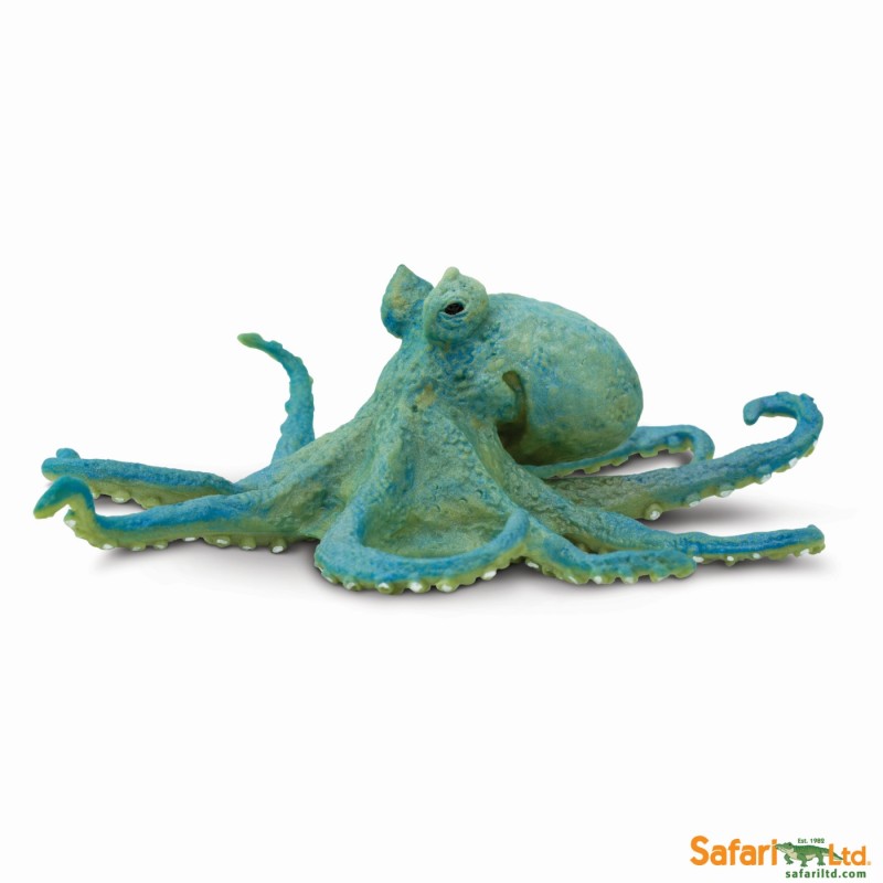 Safari Oktopus 200929
