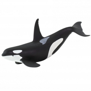 Safari Leben im Meer: Safari Orca Killerwal 100232