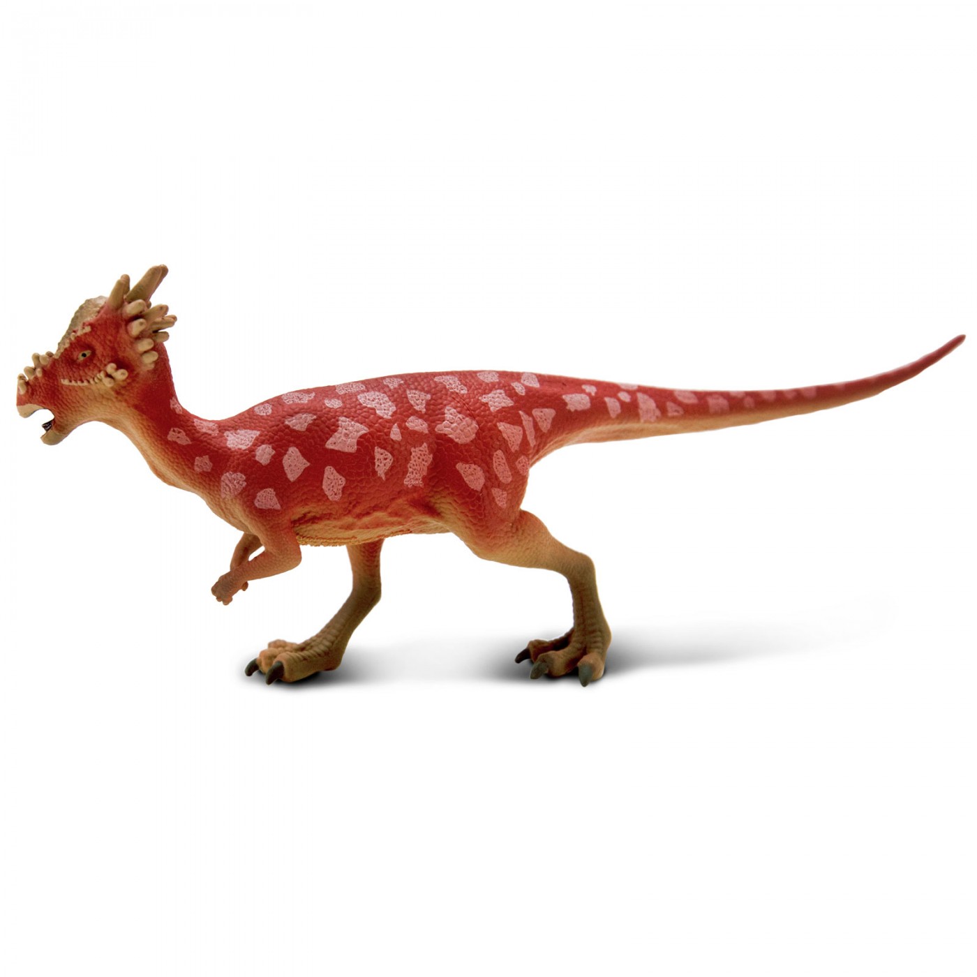 Safari Pachycephalosaurus Hick-headed lizard 101026