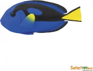 Safari Unglaubliche Kreaturen: Safari Paletten-Doktorfisch 100039
