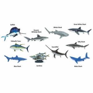 Safari Themenbereiche: Safari Pelagische Fische 100265