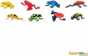 Safari Themenbereiche: Safari Pfeilgiftfr�sche 100121