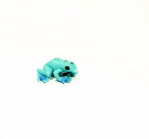 Safari Minifiguren: Safari Pfeiliftfrosch blau 34512e