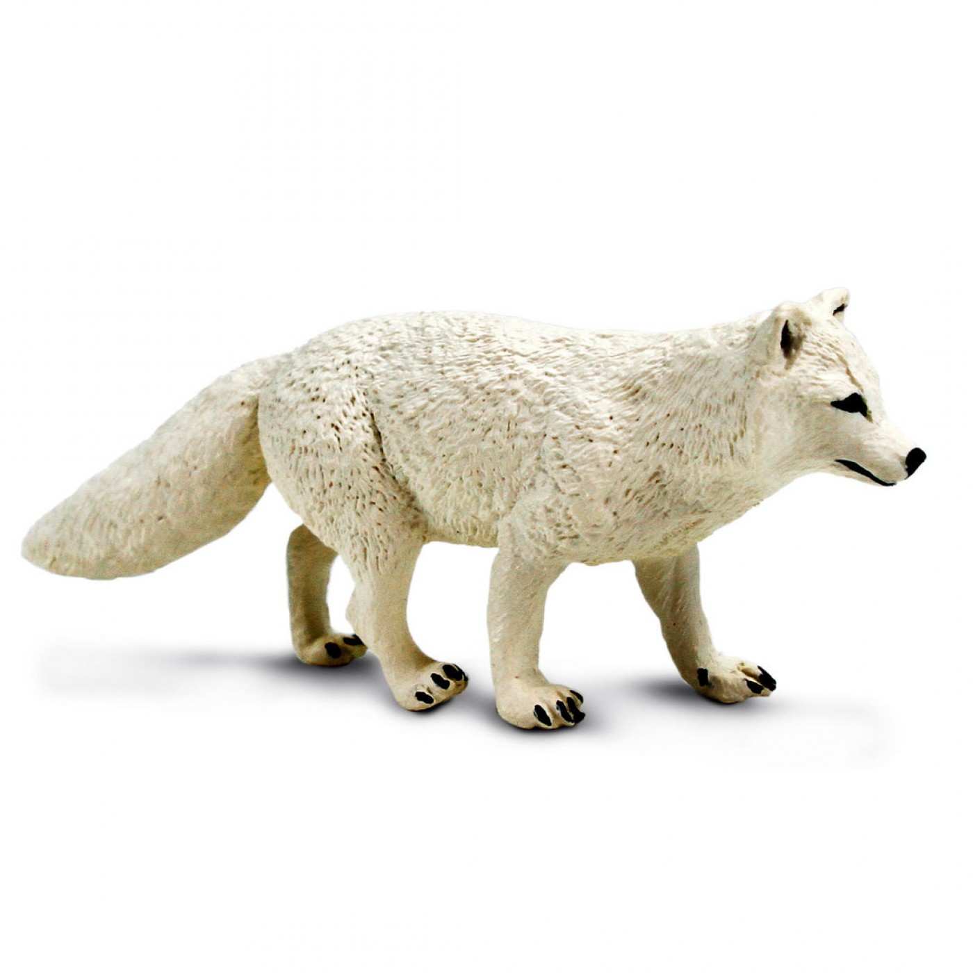 Safari Polarfuchs 100731