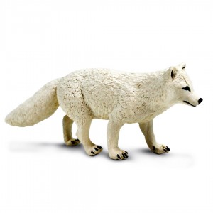 Safari Wildtiere: Safari Polarfuchs 100731