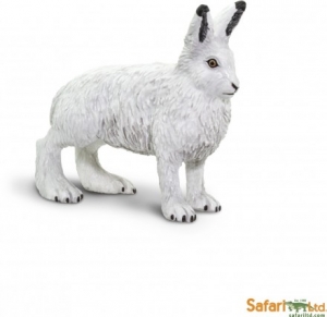 Safari Wildtiere: Safari Polarhase 182129
