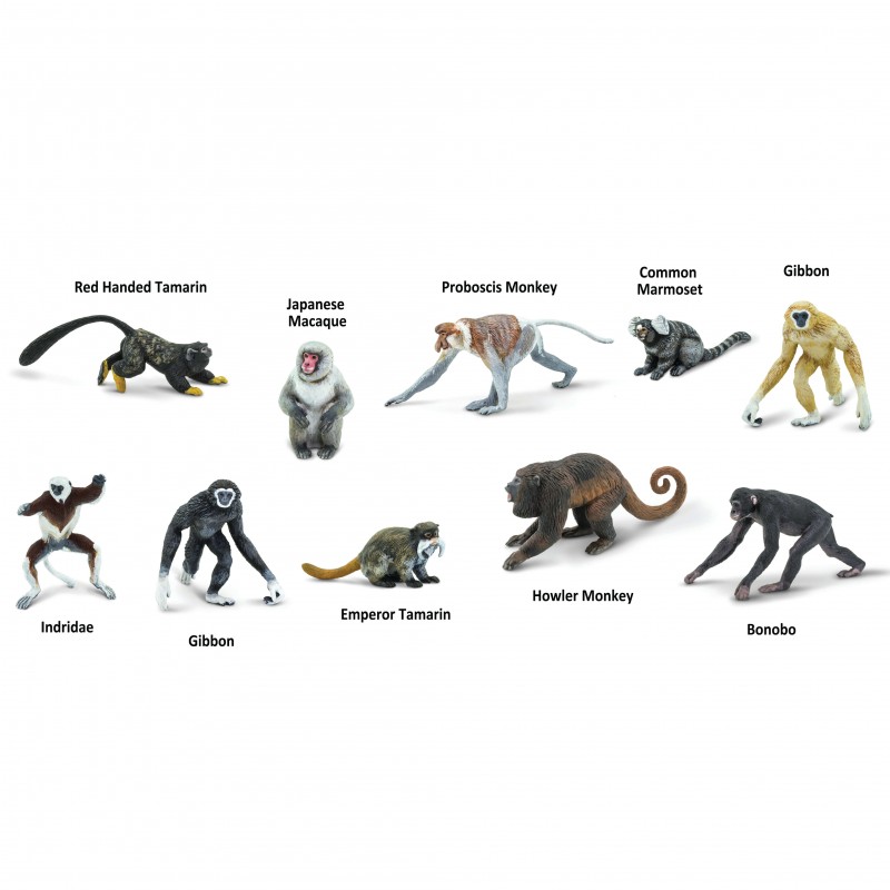 Safari Primates 100323