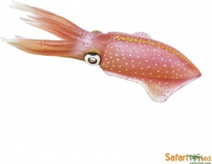 Safari Incredible Creatures: Safari Reef Squid 266229