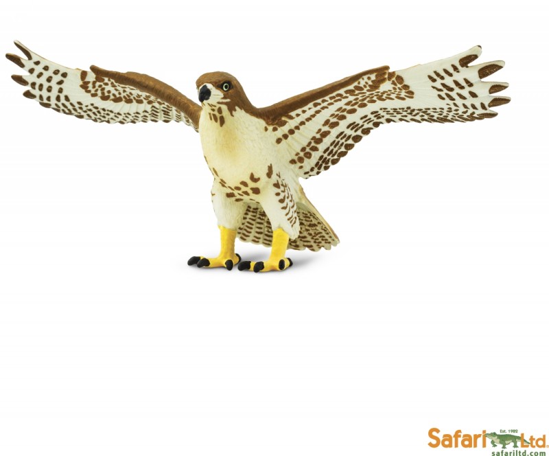 Safari Rotschwanzbussard 151029