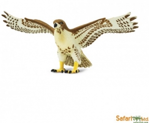 Safari V�gel Wings of the World: Safari Rotschwanzbussard 151029