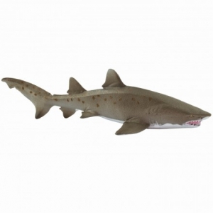 Safari Leben im Meer: Safari Sandtigerhai 100369