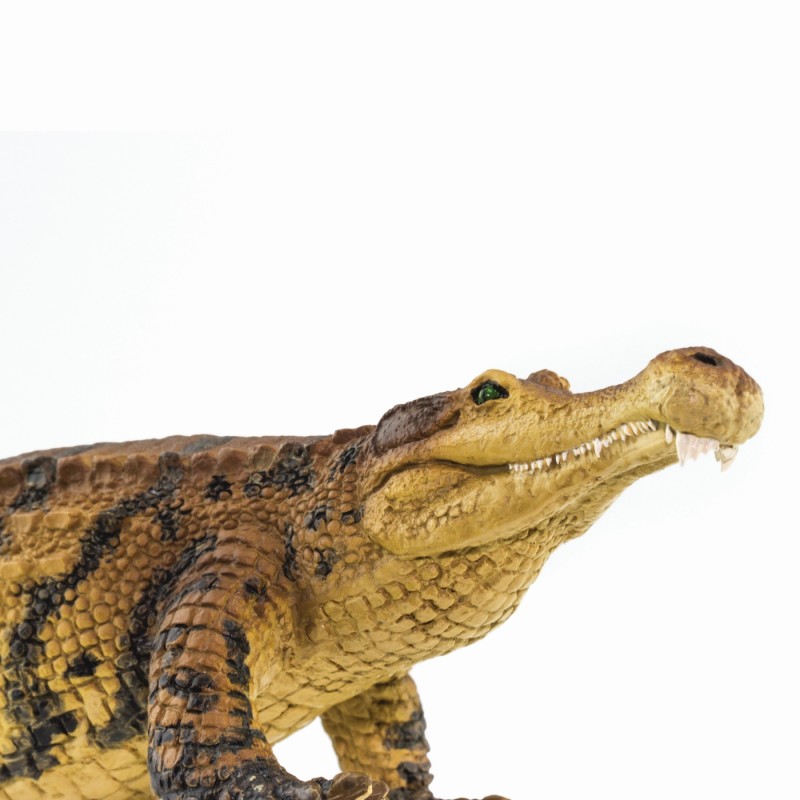 sarcosuchus toy