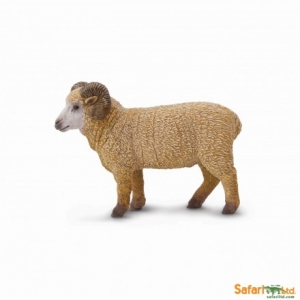 Safari Schafbock 1614 Bauernhof