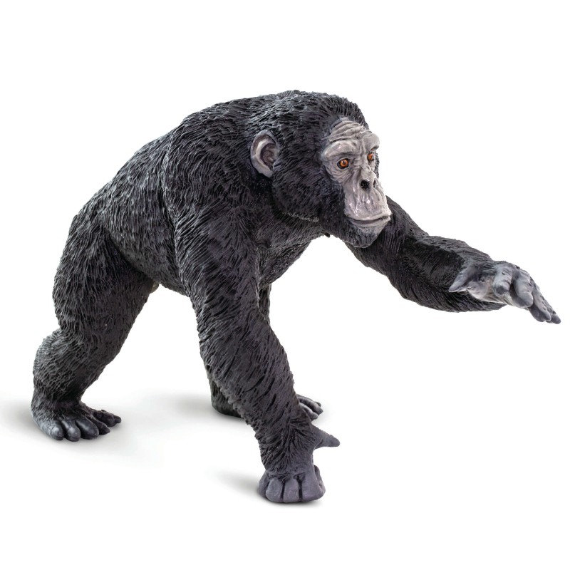 Safari Wildtier Wunder XL-Größe: Safari Schimpanse 100302