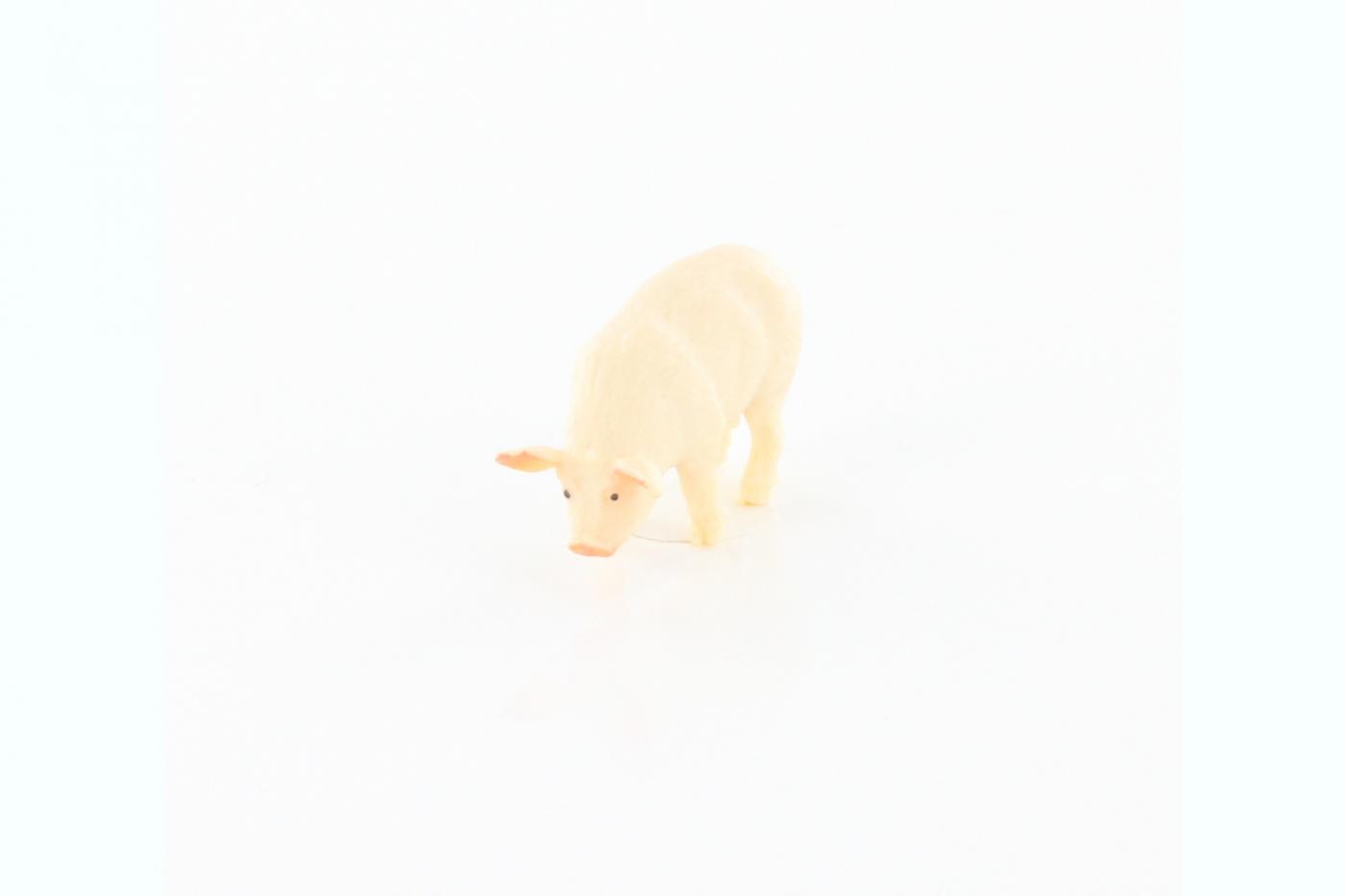 Safari Schwein 3477e