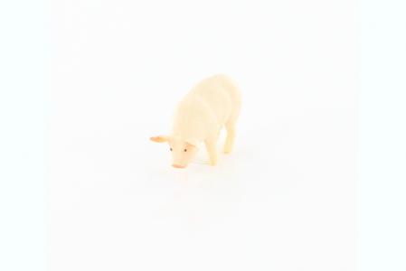 Safari Minifiguren: Safari Schwein 3477e