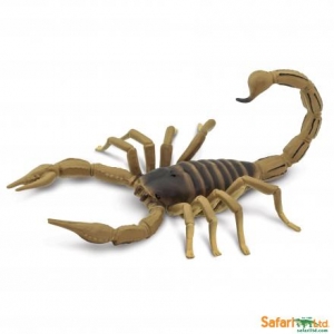 Safari Incredible Creatures: Safari Scorpio 00260