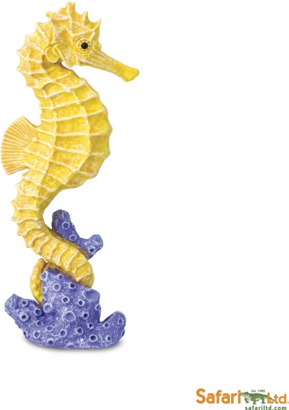 Safari Seahorse 204329