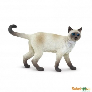 Safari Hunde Best in Show: Safari Siamkatze 00061