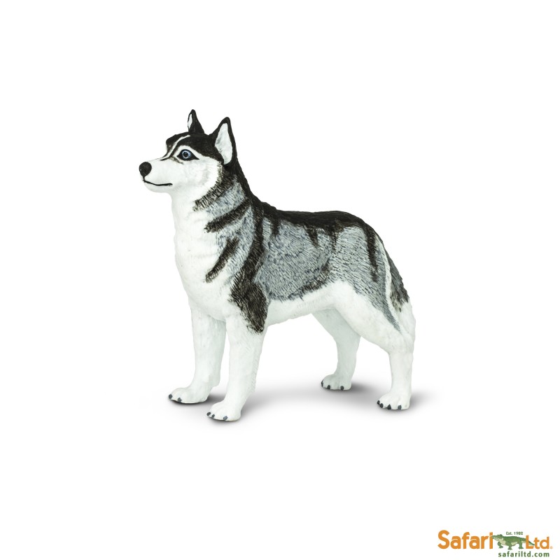 Safari Siberian Husky 255229
