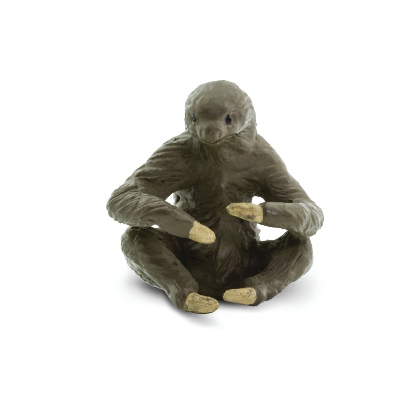 Safari Sloth 100315