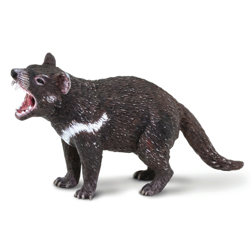 Collecta Wildlife Model Tasmanian Devil